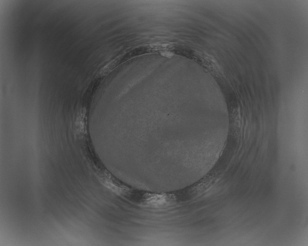 X0000076030083200610061429