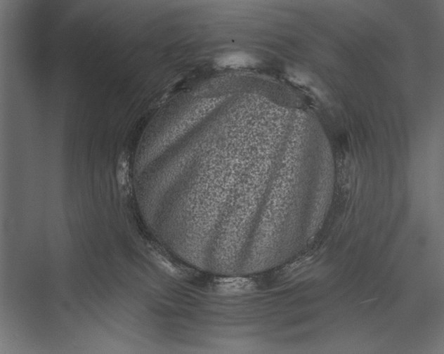 X0000076030087200610061429