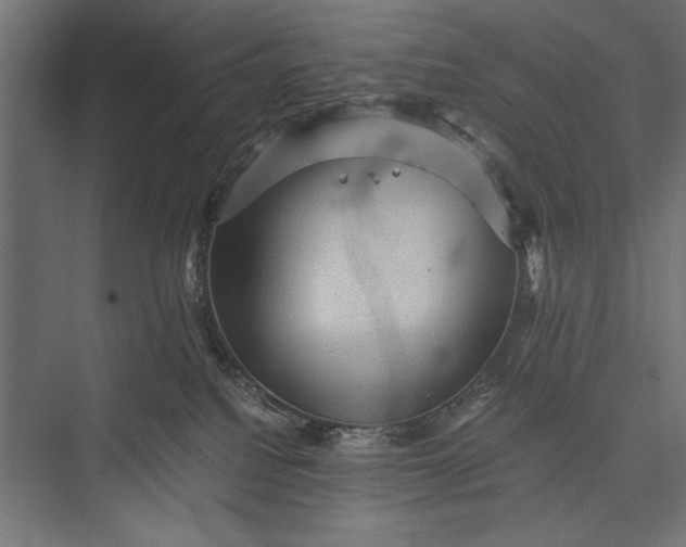 X0000076030088200610061429