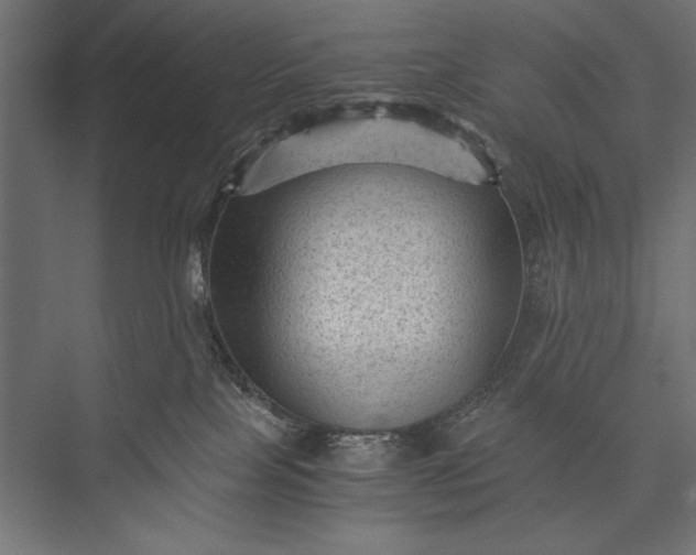 X0000076030089200610061429