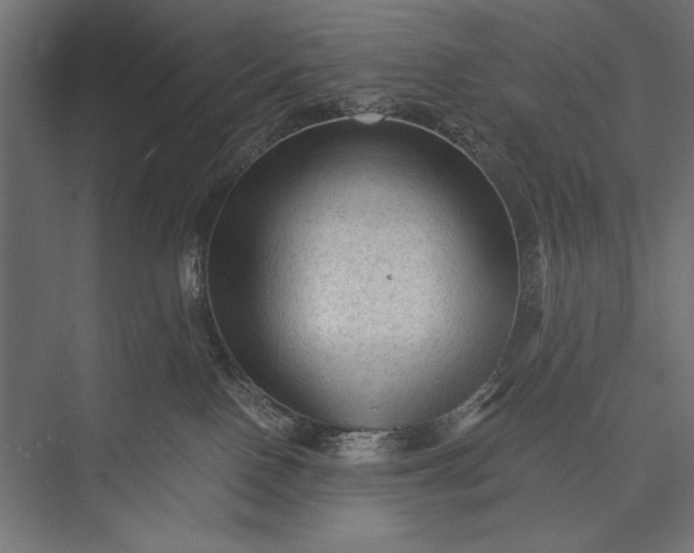 X0000076030090200610061429