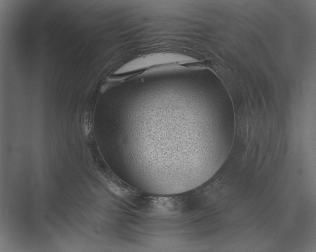 X0000076030091200610061429