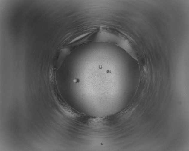 X0000076030092200610061429