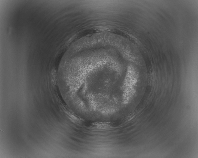 X0000076030093200610061429