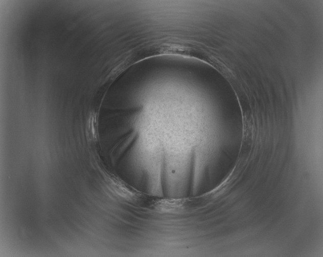 X0000076030094200610061429