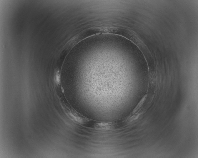 X0000076030095200610061429