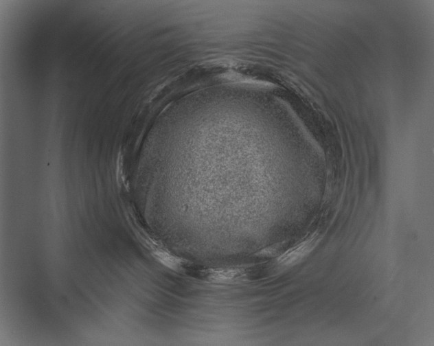 X0000076030096200610061429