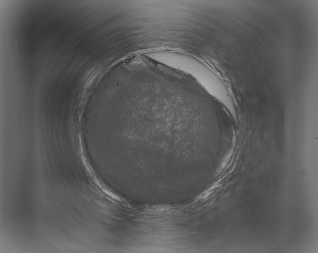 X0000076030097200610061428