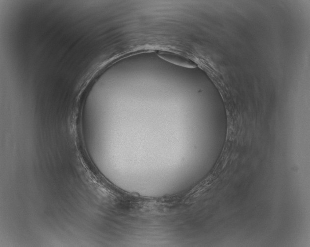 X0000076030098200610061428