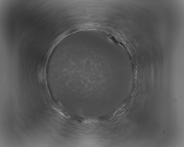 X0000076030099200610061428