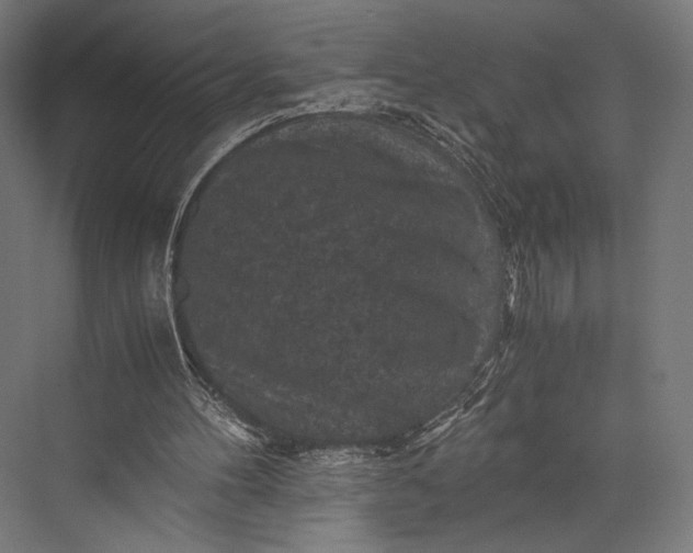 X0000076030100200610061428