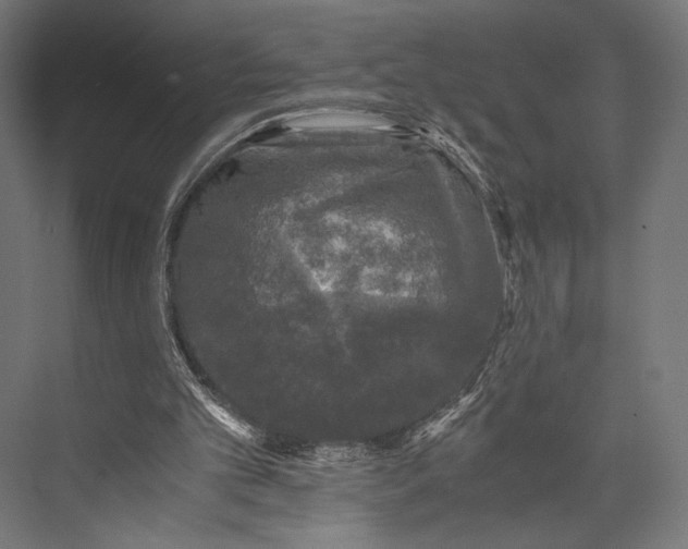 X0000076030101200610061428