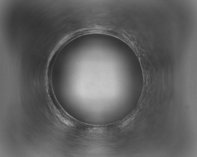 X0000076030102200610061428