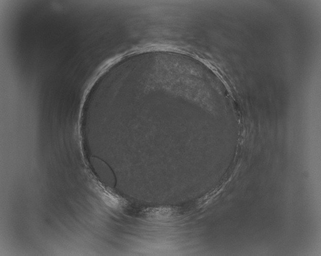 X0000076030104200610061428