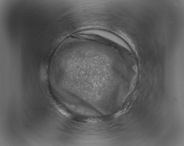 X0000076030105200610061428