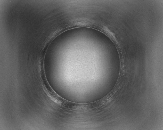 X0000076030106200610061428