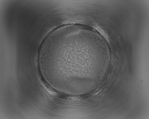 X0000076030107200610061428