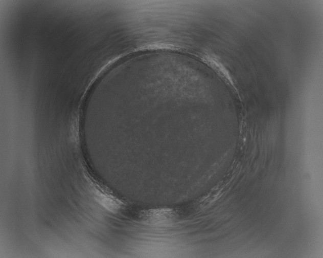 X0000076030108200610061428