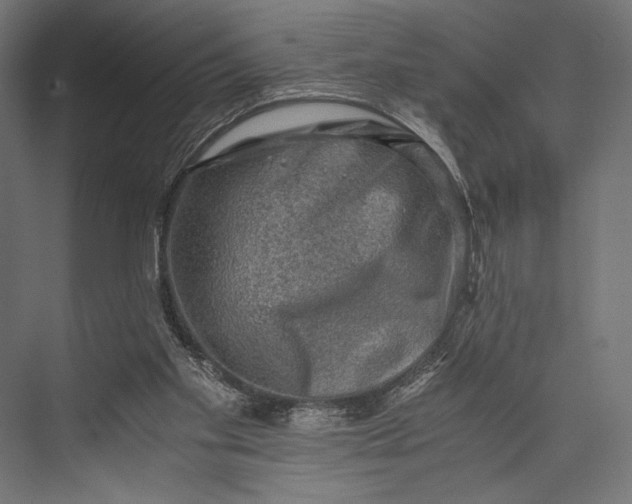 X0000076030109200610061428