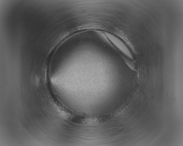 X0000076030110200610061428