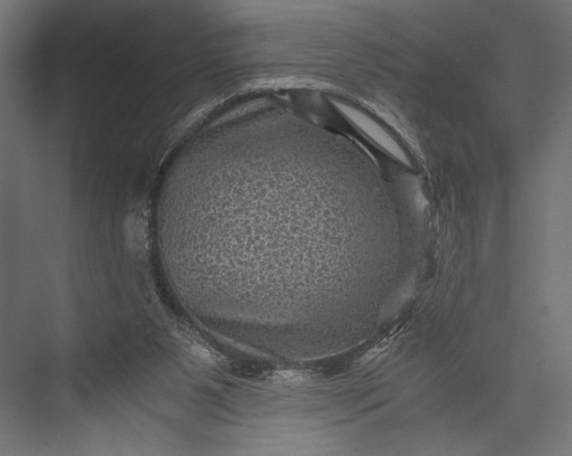 X0000076030111200610061428