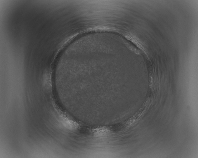 X0000076030112200610061428