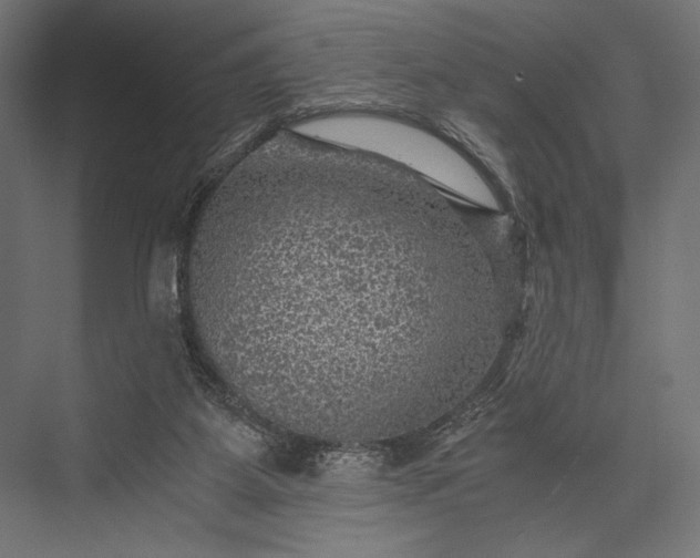 X0000076030115200610061428