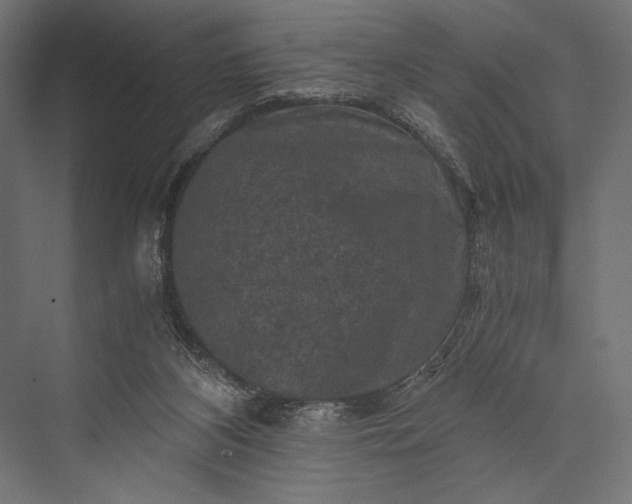 X0000076030116200610061428