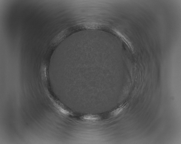 X0000076030117200610061428