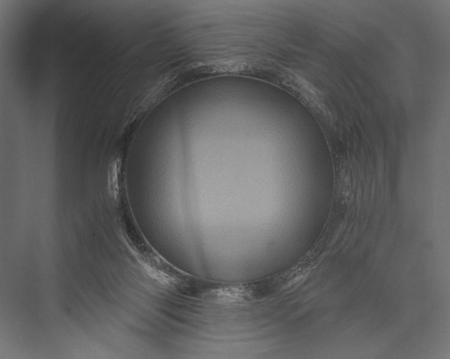 X0000076030118200610061428