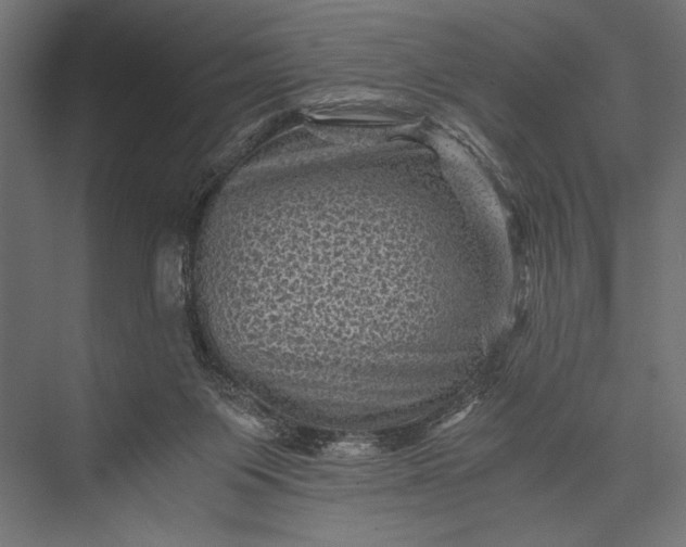 X0000076030119200610061428