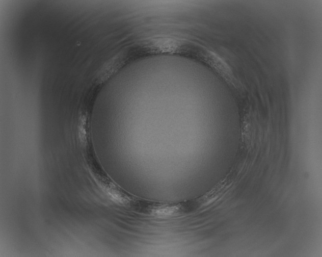 X0000076030122200610061428