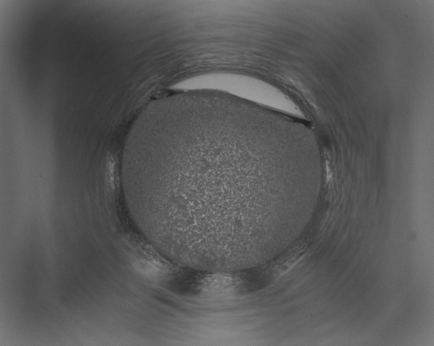 X0000076030123200610061428