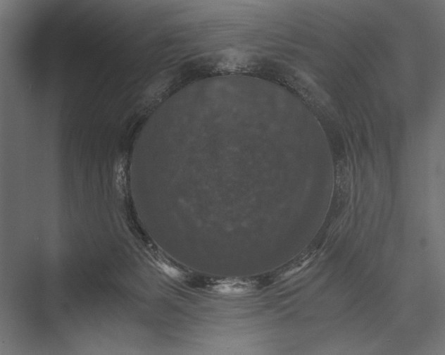 X0000076030127200610061428