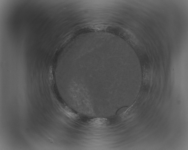 X0000076030128200610061428