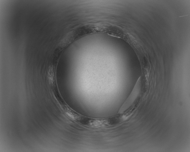 X0000076030129200610061428