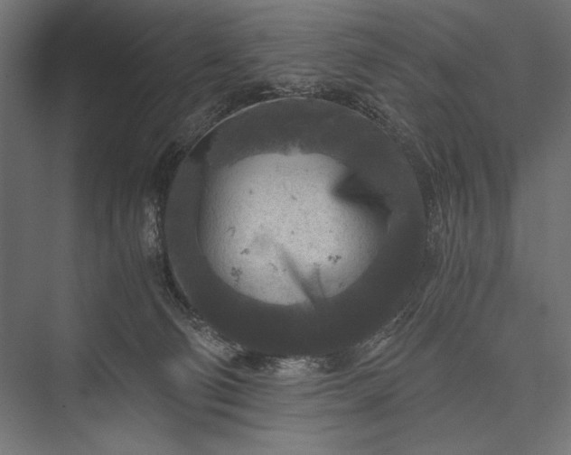 X0000076030130200610061428