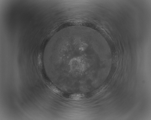 X0000076030131200610061428