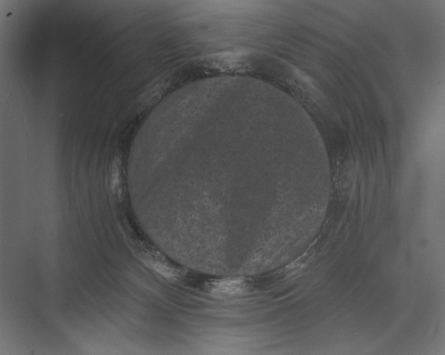 X0000076030132200610061428