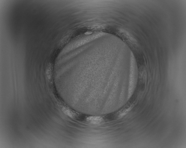 X0000076030133200610061428