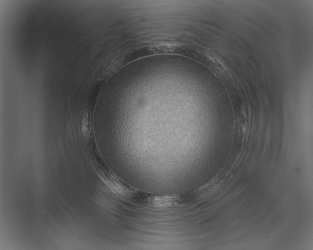 X0000076030134200610061428