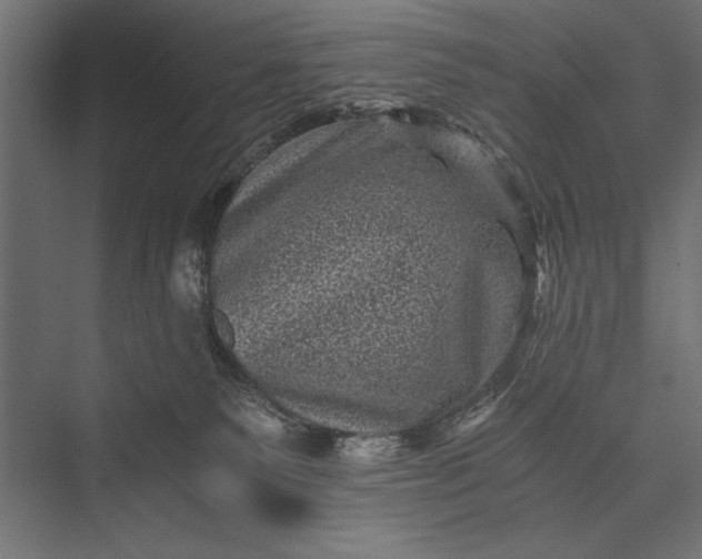 X0000076030135200610061428