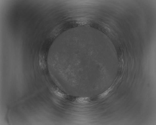 X0000076030136200610061428