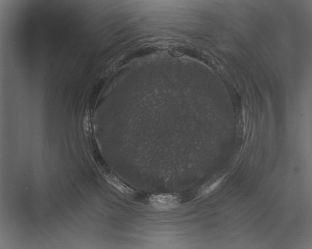 X0000076030137200610061428