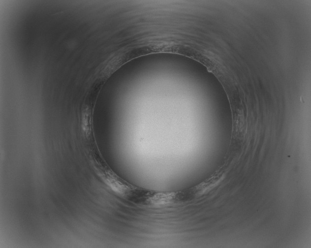 X0000076030138200610061428