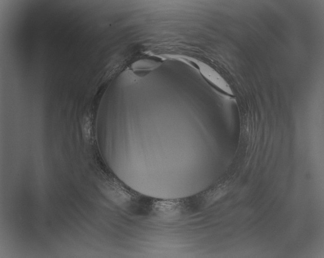 X0000076030139200610061428