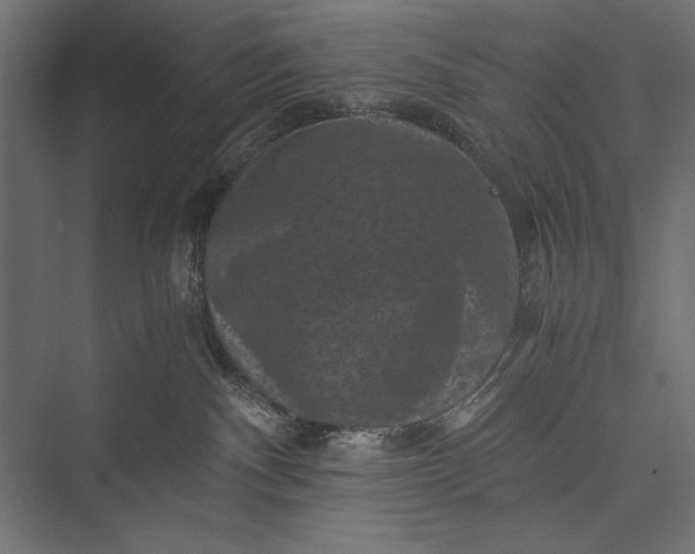 X0000076030140200610061428