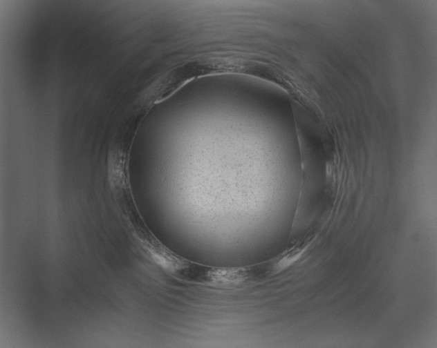 X0000076030141200610061428