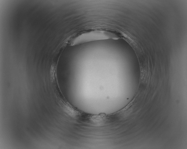 X0000076030142200610061428