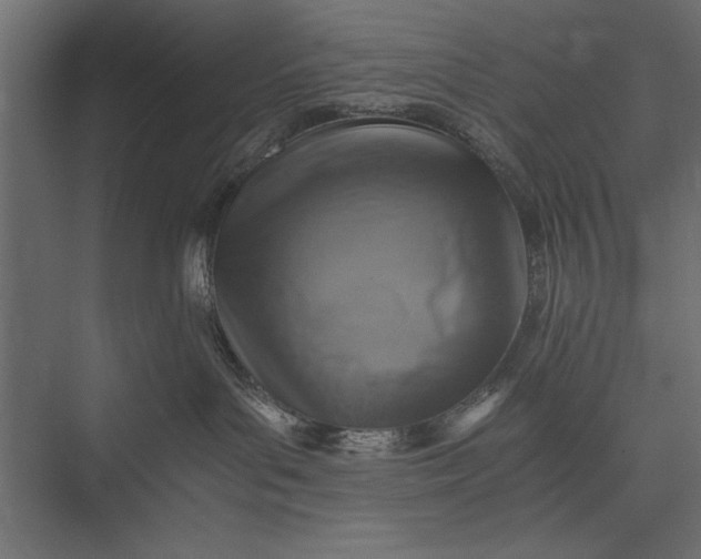 X0000076030143200610061428